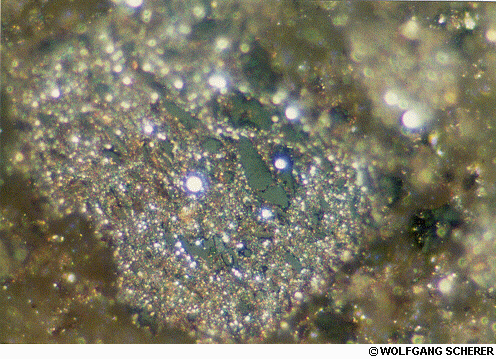 Foto de Microscopio 2