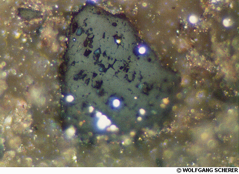 Foto de Microscopio 3