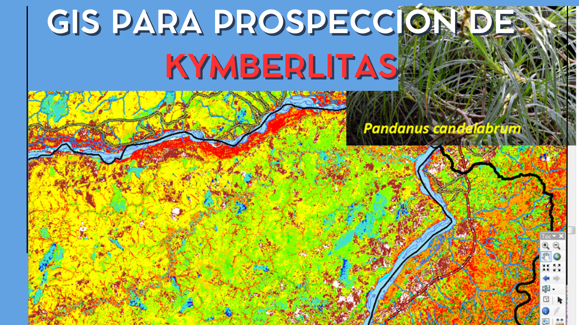 Imagen 6